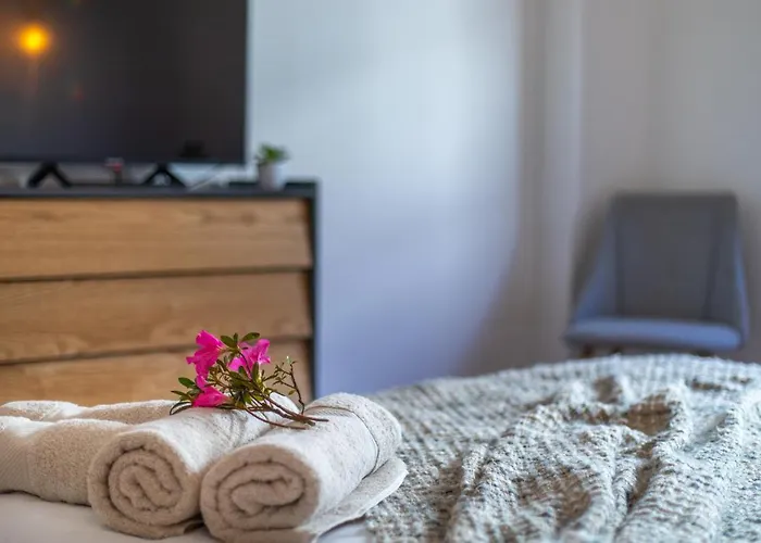 Carvao Pdl 게스트하우스