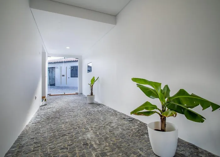 Carvao Pdl 게스트하우스