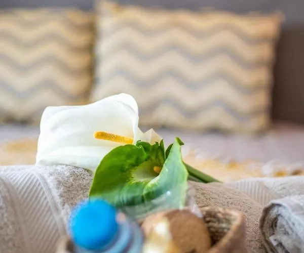 게스트하우스 Carvao Pdl Ponta Delgada