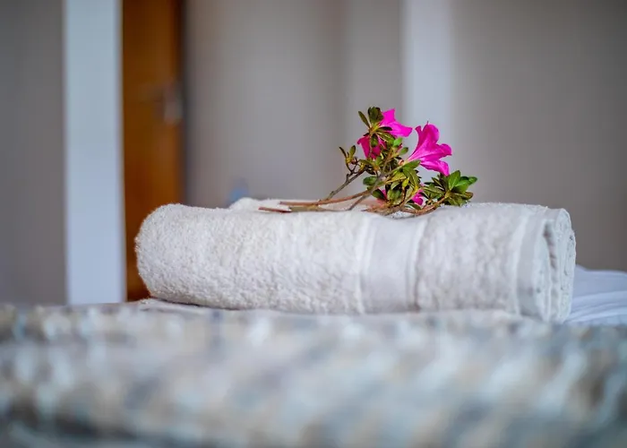 게스트하우스 Carvao Pdl Ponta Delgada