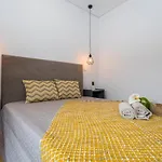 Carvao Pdl Ponta Delgada
