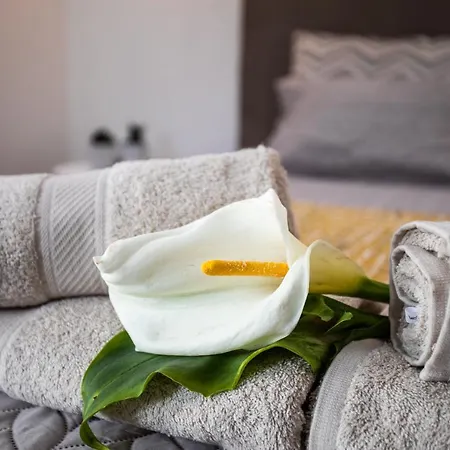 Carvao Pdl Penzion Ponta Delgada