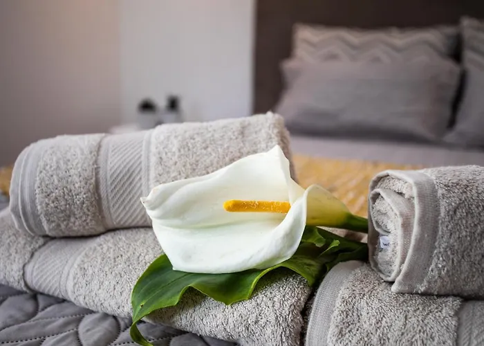 Carvao Pdl Penzion Ponta Delgada