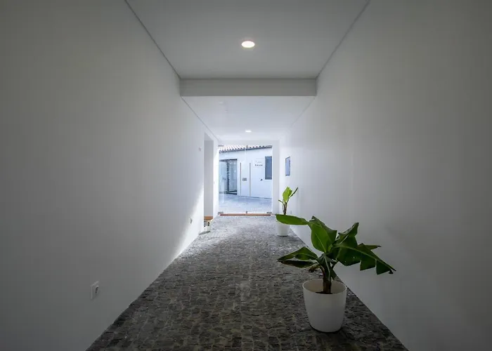 Carvao Pdl Penzion 3*